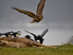 IMG_1568 IMG_1568